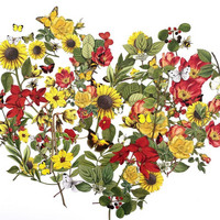 49 And Market - Vintage Artistry Countryside Laser Cut Wildflowers, 4arkkia