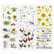 49 and Market - Vintage Artistry Countryside Rub-Ons 6