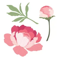 Honey Bee Stamps - Peony, Stanssisetti