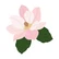 Honey Bee Stamps - Magnolia, Stanssisetti