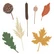 Honey Bee Stamps - Fall Foliage, Stanssisetti