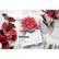 Honey Bee Stamps - Mum, Stanssisetti