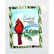 Honey Bee Stamps - Winter Birds, Stanssisetti