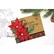 Honey Bee Stamps - Poinsettia, Stanssisetti