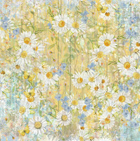 Crafter`s Companion - Delightful Daisies, Vellum Pad 8