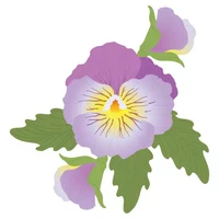 Honey Bee Stamps - Pansy, Stanssisetti