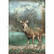 Stamperia - Magic Forest Deer, Rice Paper, A4