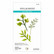 Spellbinders - Victorian Garden Foliage, Stanssisetti