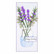 Spellbinders - Mason Jar and Lavender, Stanssisetti