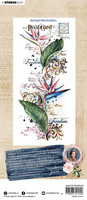 Studio Light - Jenine's Feelings of Freedom, Script Strelitzia, Leima