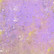 Crafter`s Companion - Wildflower, Paperikko 6