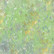Crafter`s Companion - Wildflower, Paperikko 6