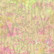 Crafter`s Companion - Wildflower, Paperikko 6