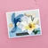 Spellbinders - Hummingbird and Lily, Stanssisetti