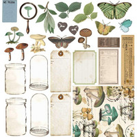 49 And Market - Vintage Artistry Nature Study, Collection Pack 12