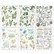 49 and Market - Vintage Artistry Nature Study Foliage Rub-Ons 6