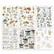 49 and Market - Vintage Artistry Nature Study Mushroom Rub-Ons 6