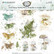 49 and Market - Vintage Artistry Nature Study Rub-Ons 12