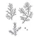 Spellbinders - Winter Evergreen Foliage and Ladybugs, Stanssisetti
