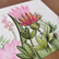 PaperArtsy - JOFY Stencil 372, Sapluuna