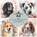 Paper Favourites - Dogs 12