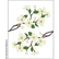 Honey Bee Stamps - Dogwood, Stanssisetti