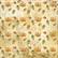 Craft O`Clock - Autumn Beauty, Paper Collection Set 6