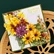 Spellbinders - Black Eyed Susan, Stanssisetti
