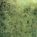 Fabrika Decoru - Summer Botanical Story, 12