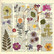 Fabrika Decoru - Summer Botanical Story, 12