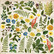 Fabrika Decoru - Summer Botanical Story, 12