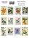 Fabrika Decoru - Summer Botanical Story, Tarra-arkki