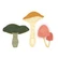 Honey Bee Stamps - Mushroom, Stanssisetti