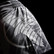 Hayabusa Kickboxing Shorts 2.0