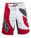 Hayabusa Chikara fight short red