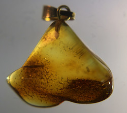 Riipus Meripihka