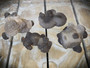 Kalsedoni Raakakivi 35-65 mm