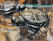 Obsidiaani Kilpikonna 50 mm
