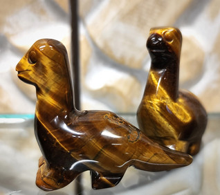 Tiikerinsilmä dinosaurus
