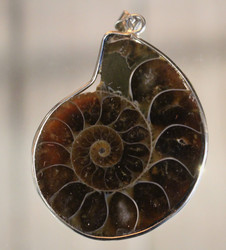 Riipus Ammoniitti 35 mm