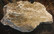 Golden Mica Muskoviitti 140/110/25 mm