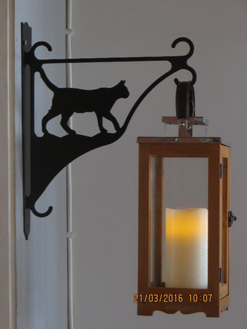 Flower/lantern rack cat walks short-haired