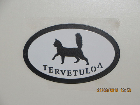 Tervetuloakyltti kissa kävelee PK