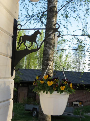 Amppeliteline Hevonen