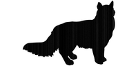 Rolling pin cat stands long-haired