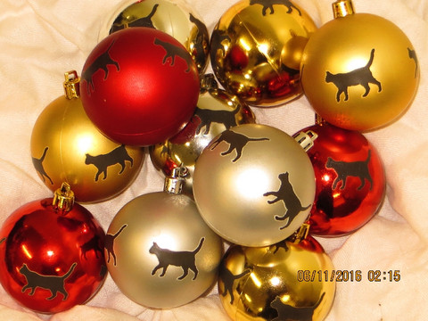 Christmas tree ball cat is coquettish