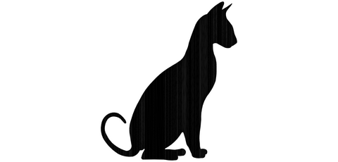 Necklace cat sitting short-haired