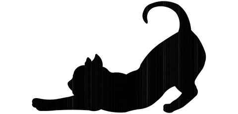Necklace cat stretch short-haired