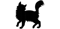 Welcome signboard cat is coquettish