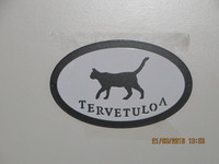 Welcome signboard cat walks short-haired
